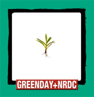 Green Day - NRDC