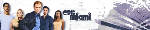 CSI Miami template